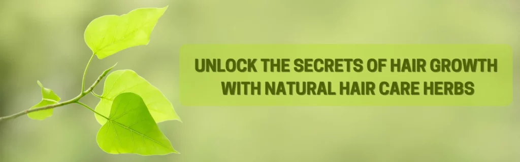 Unlock the Secrets of Hair Growth with Natural Hair Care Herbs - www.dkihenna.com